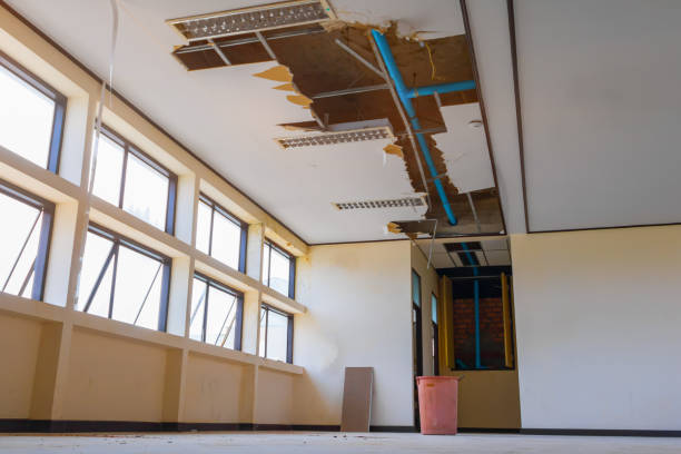 Best Residential water damage restoration  in Maan, ND