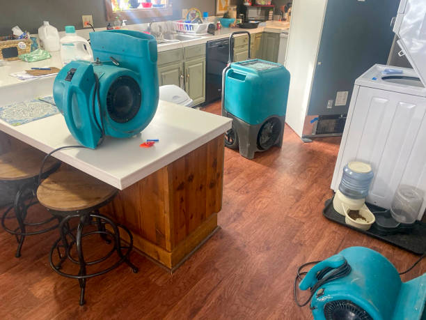 Best Water damage restoration near me  in Maan, ND