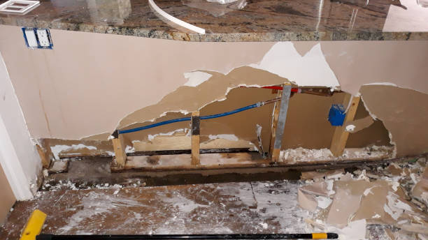 Best Water damage cleanup near me  in Maan, ND
